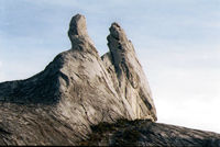 �O�k���E�L�i�o����������