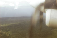 �O�k���E������������