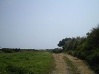 �^�_���̎ʐ^