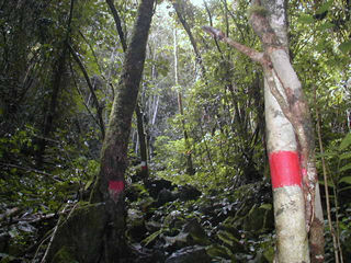 �W�����O�����̎R��