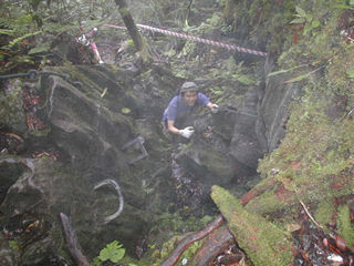 �s�i�N���Ɍ������悶�o�蒆