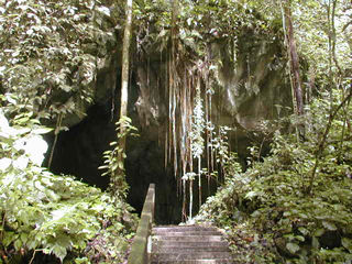 �����O�Y�P�C�u����