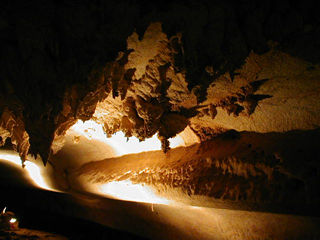 ���A�ɓ�����������