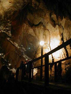 �ʂ��Ă���l�e����L���������Ă�������