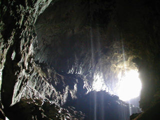 �ӂ肻�������̒�