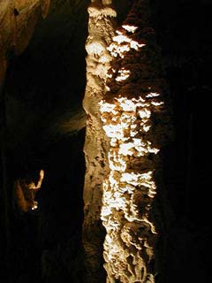 �����藧���