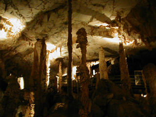 �u���̕����v����������