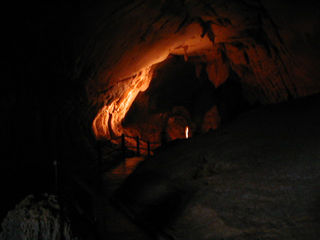 �����O���f�B�Y�E�P�C�u����_�߂�