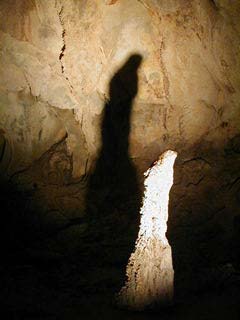 Young Lady�̑��D������񎩑R�̑��`��