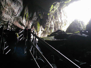 �}�ȊK�i���̂ڂ��āC�n���