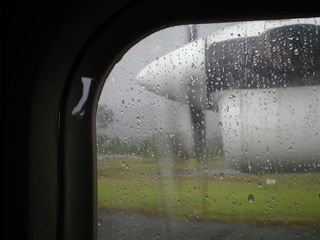 �������͂��߂�c�B���E�I�^�[